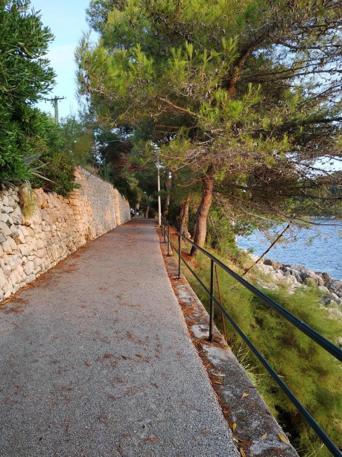 Saul Apartment Cavtat