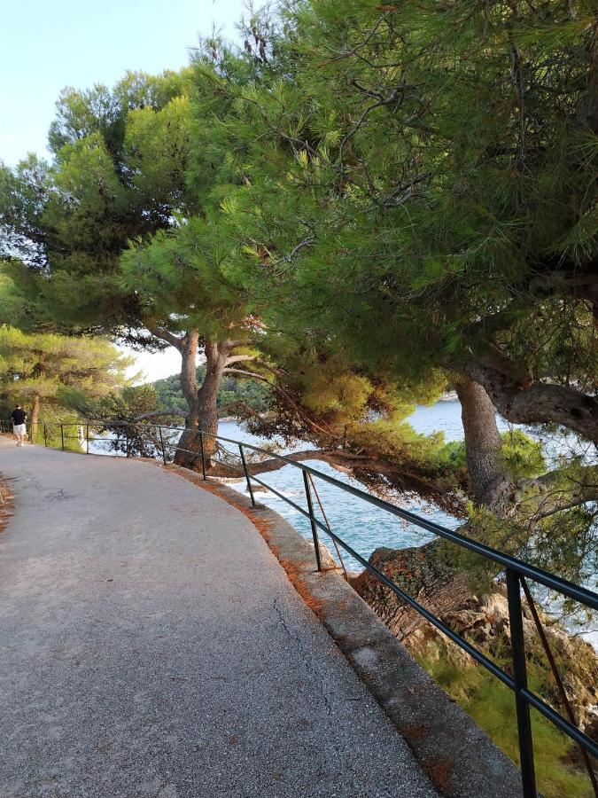 Saul Apartment Cavtat
